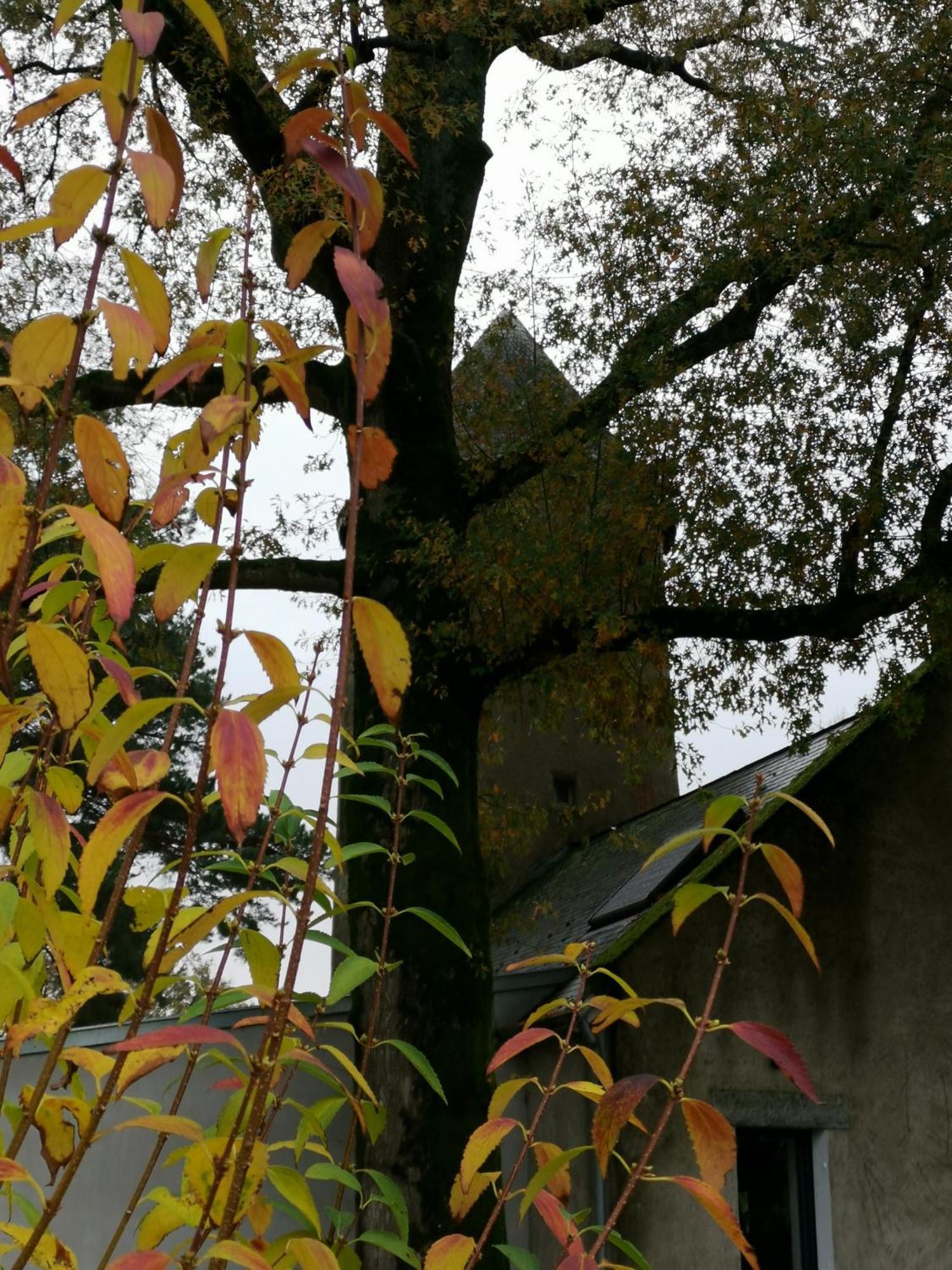 Le Moulin De La Retardiere Orvault Ngoại thất bức ảnh